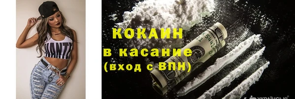 твердый Алексеевка