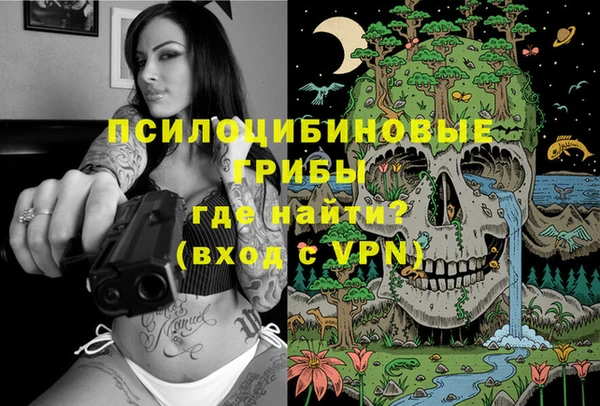 спиды Алзамай