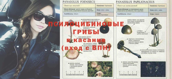 гидра Алексин
