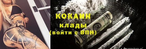 спиды Алзамай