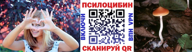 Псилоцибиновые грибы Cubensis  Цоци-Юрт 