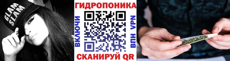 Канабис планчик  Цоци-Юрт 